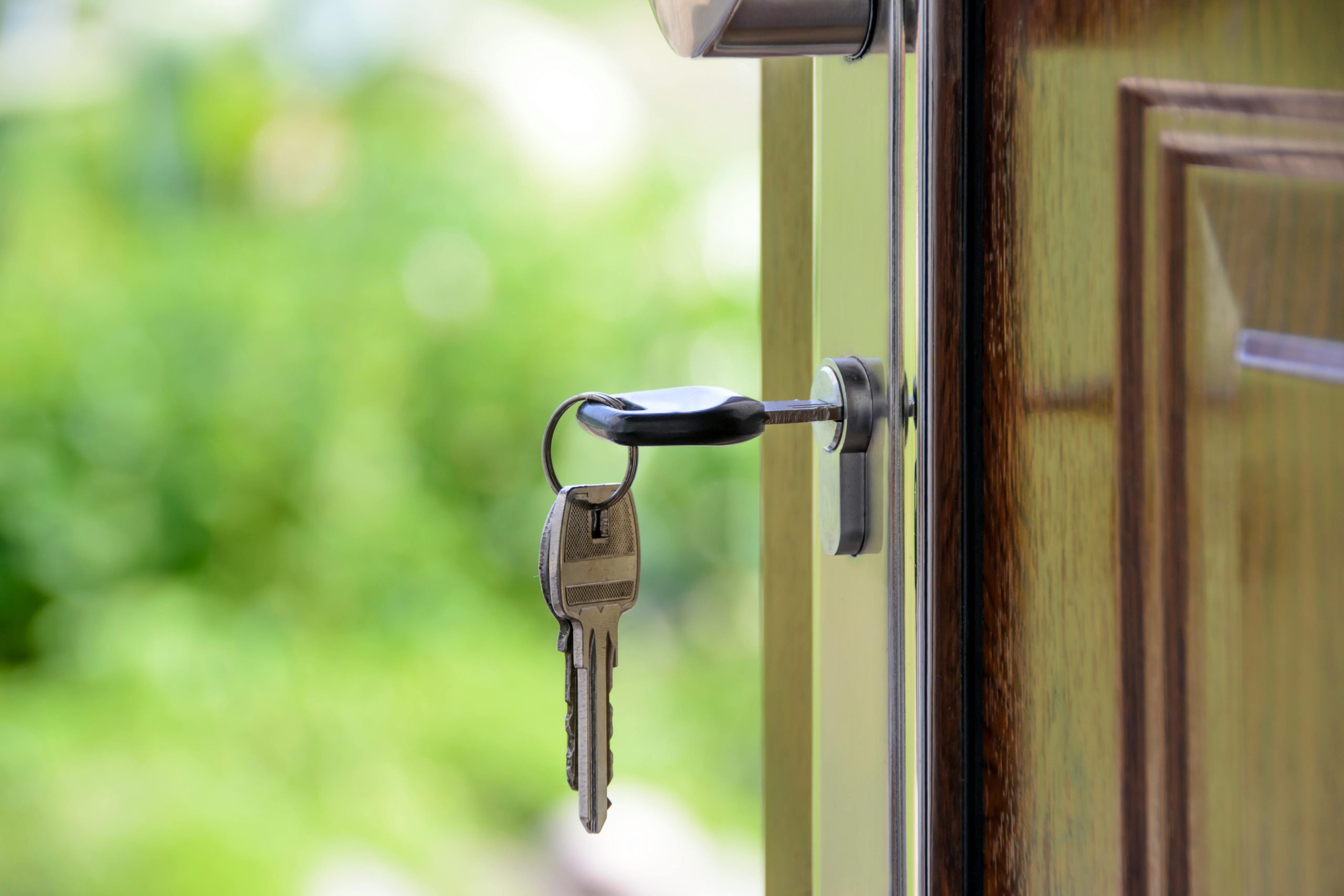 Key with black handle in a keyhole on a wooden door. Behind the door is a green landscape.